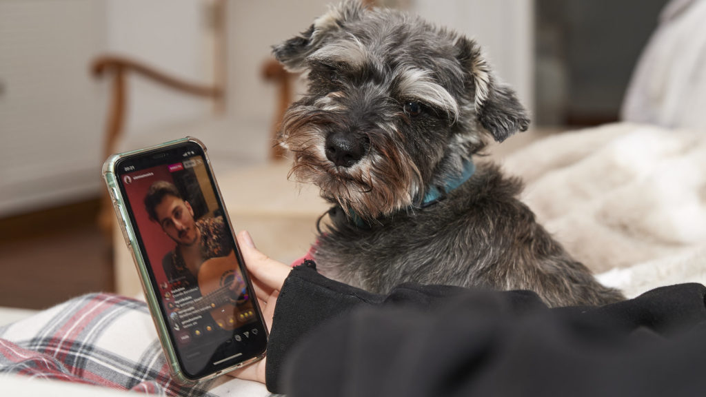 A person finding ways to pass the time at home during the Coronavirus by looking at a dog on their phone.