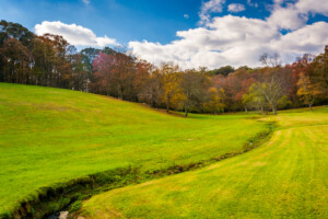 A grassy field hosting Towson Events in Fall 2023.